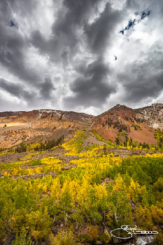 _MG_3717.jpg