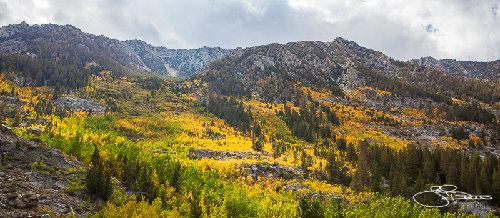 _MG_3729.jpg