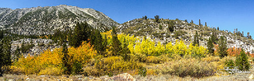 IMG_0180.jpg