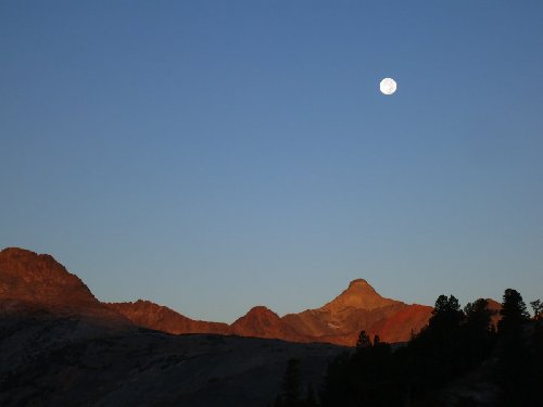 IMG_5963.jpg