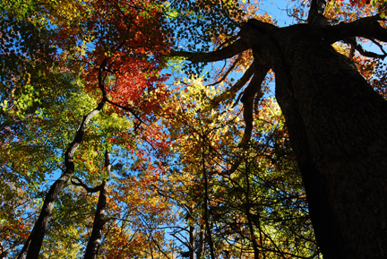 watauga2013472.jpg
