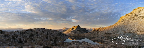 1209_ 1419_D1LP.jpg