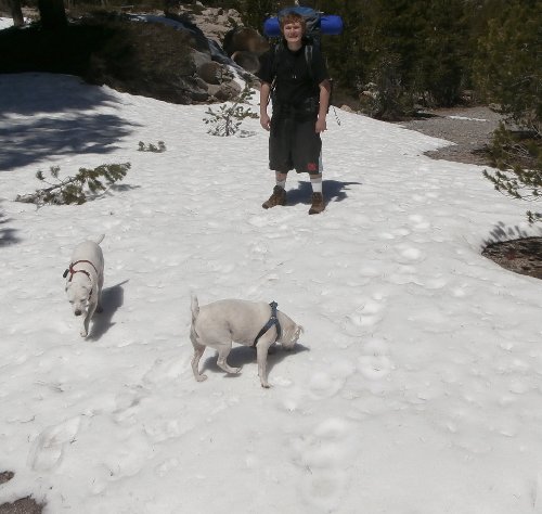 5z Snow Trail.JPG