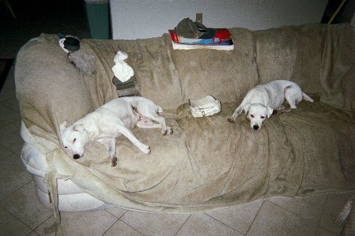 7exhausted%20girls[1].JPG