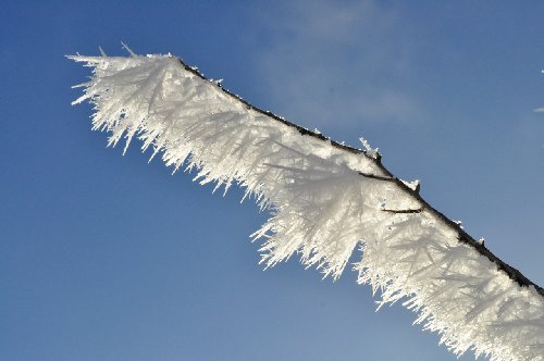 DSC_0009.jpg