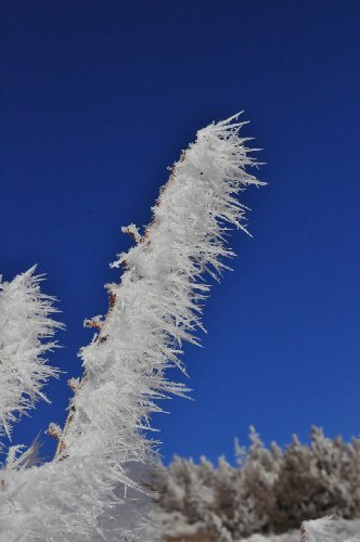 DSC_0012.jpg