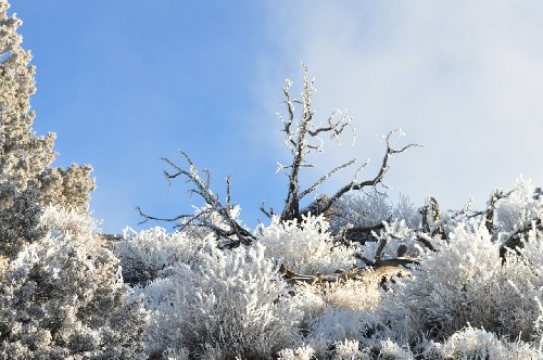 DSC_0065.jpg