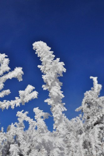 DSC_0084.jpg