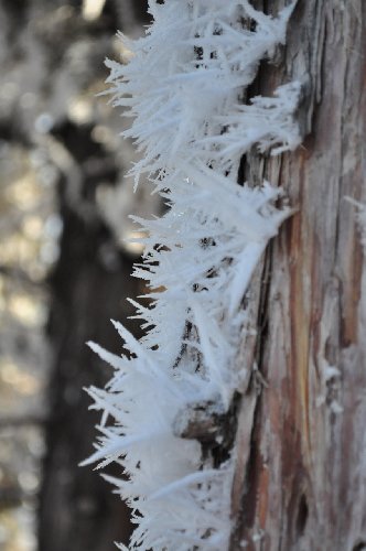 DSC_0132.jpg
