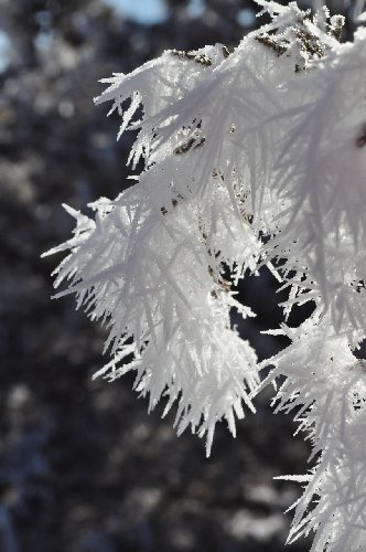 DSC_0136.jpg