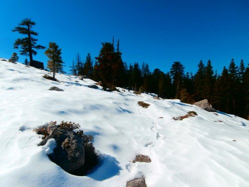 2 Snow Trail.JPG