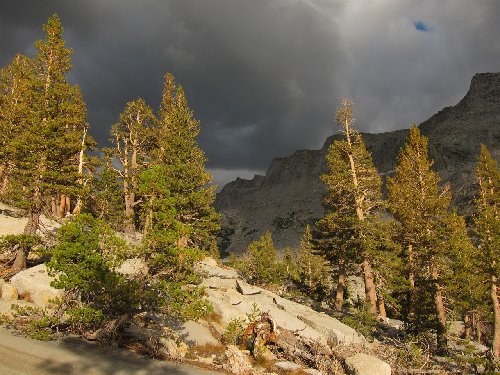 View near Lower Florence Lake outlet