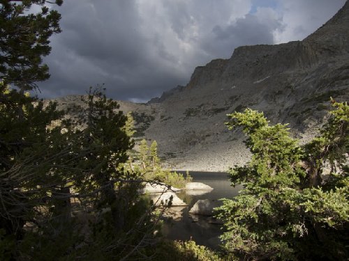 Looking up Canyon