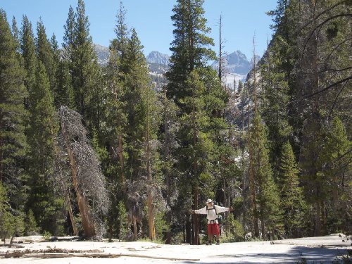 Great Slabs in the Bottom of the Canyon