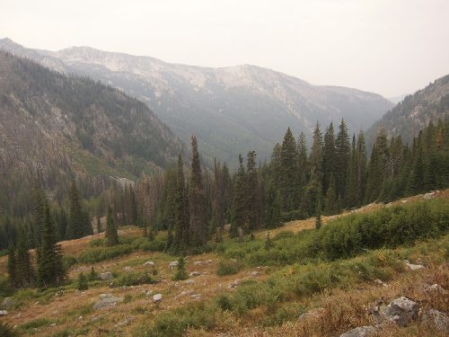 Day 4--elk country
