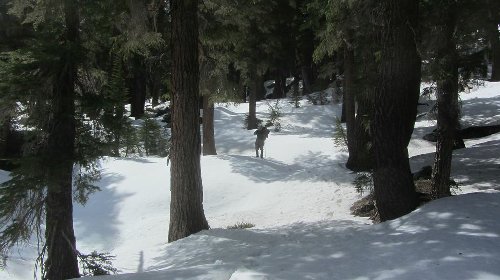 Snow field between Glady's and Rosalie