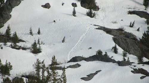 Tracks on the north slope above Garnet lake