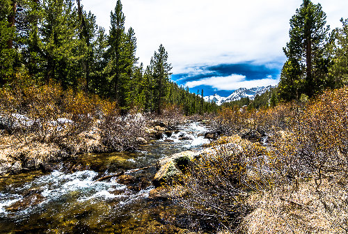 RockCreek.jpg