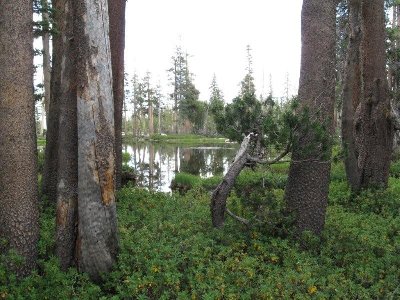 2. Hidden pond near Staniford Lakes