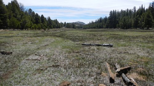 Summit Meadow...