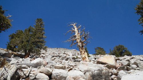 Looking towards the peak from near the saddle