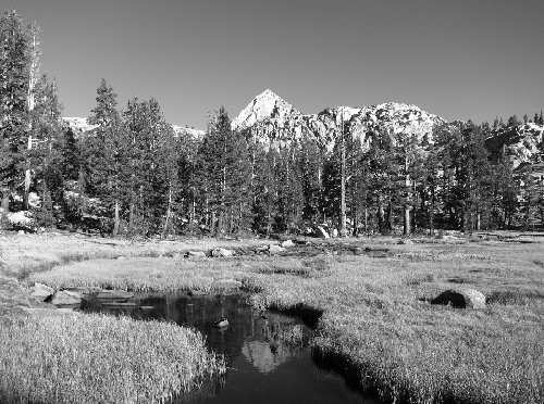 b/w