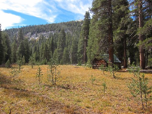 meadow