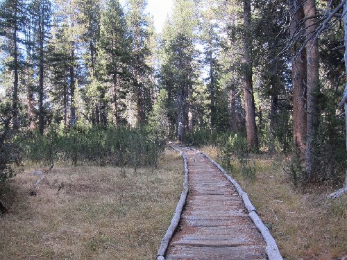 walkway