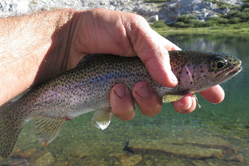 Rainbow out of Blue Canyon twin lakes