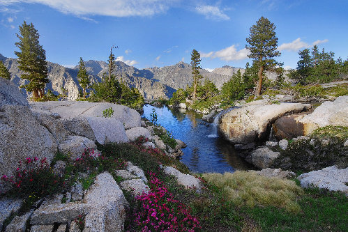 Another from Lower Tunemah Basin