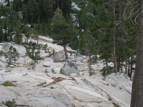 IMG_7430.JPG