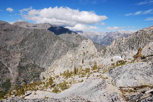DSC_0145.jpg