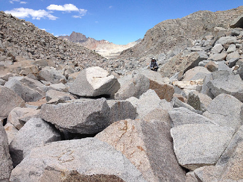 Hey! Talus!