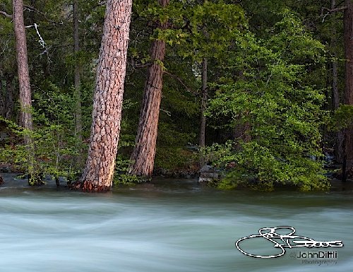 Rancharia Creek