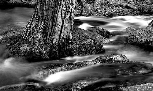 1006_546_D1L.jpg