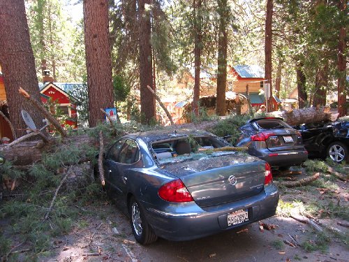 Ah yes!  Nobody hurt!