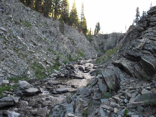 San Joaquin River (800x600).jpg