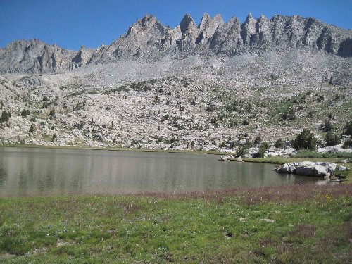 The Palisades-like Koip Crest above the lowest Lost Lake with the varied wildflower display in the foreground.