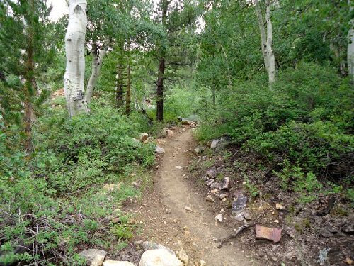 Beginning of Paiute Pass Trail