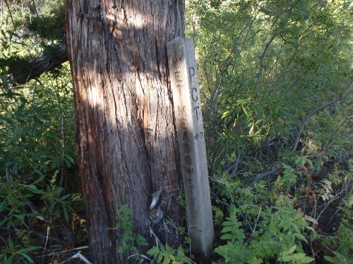 1 Wet Meadow TH.JPG