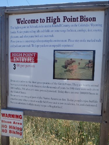 2 High Point Bison.JPG