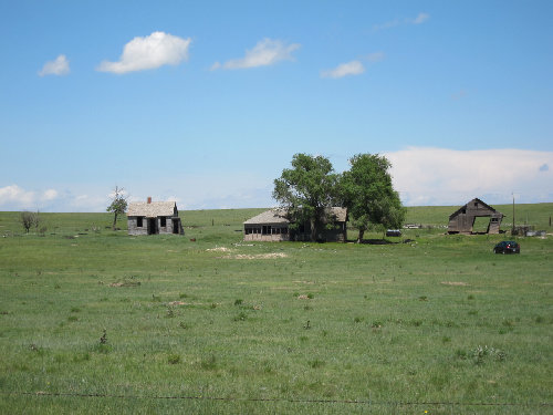 The old Homestead