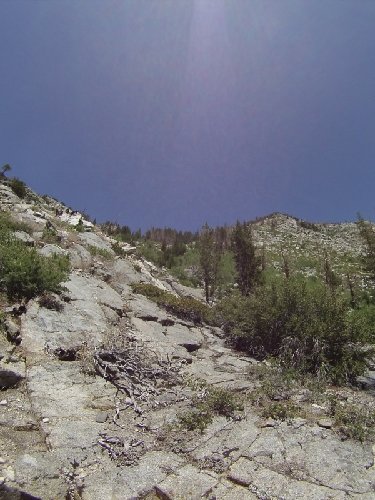 Looking back up Barrett Ck.