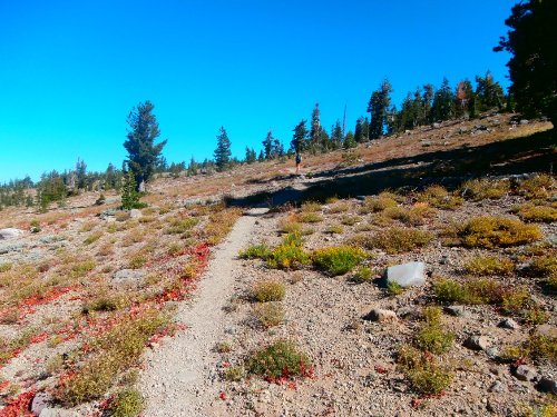 4 Summit Use Trail.JPG