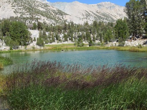 Bullfrog Lake.jpg