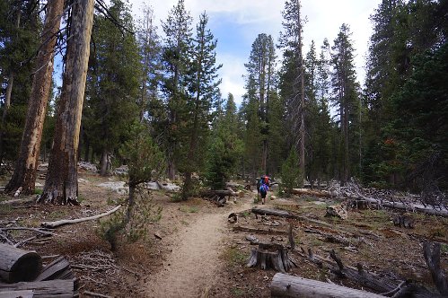 Rowell Meadow