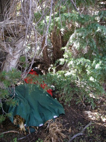 Home sweet home in the Hoover Wilderness