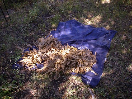 Elephant Grass Blanket out of a rain ponch