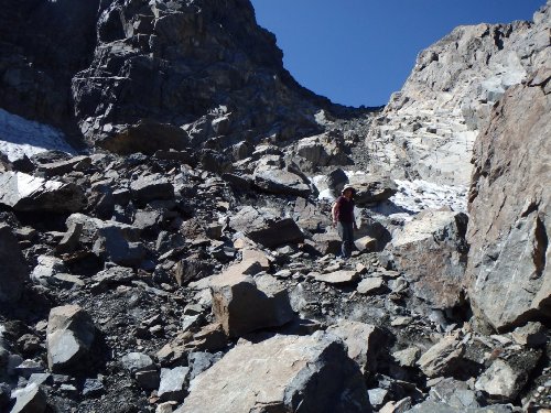 8 Oleander on SE Snowbowl.JPG