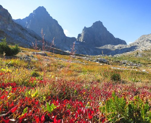 Fall colors in the valley leading to Ritter-Banner